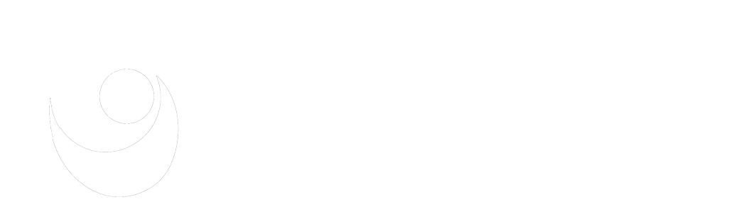 NINA logo
